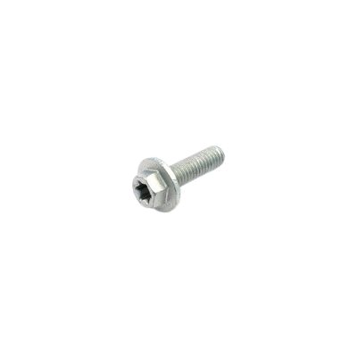 HH COLLAR SCREW M6X10 TX30